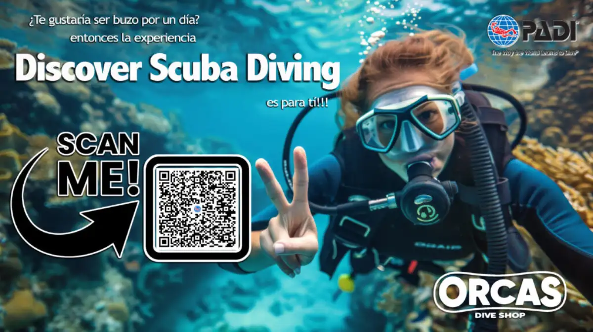 Descubre el buceo con Orcas Dive